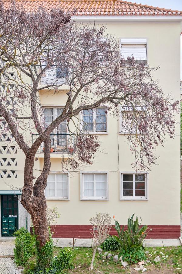 Sunny Renovated Apt With Ac, By Timecooler Lisboa المظهر الخارجي الصورة
